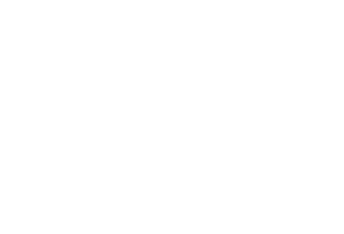 Sijs